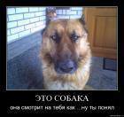 Прикрепленное изображение: 1_20_4_.jpg