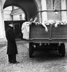 Прикрепленное изображение: notes_1360648364.jpg