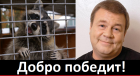 Прикрепленное изображение: 345242.png