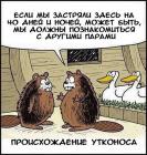 Прикрепленное изображение: 308146_877433.jpg