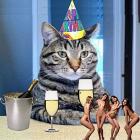 Прикрепленное изображение: 01.jpg