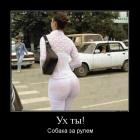 Прикрепленное изображение: 24.jpg