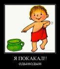 Прикрепленное изображение: demotivatorium_ru_ja_pokakalodinodin.jpg
