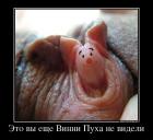 Прикрепленное изображение: image.jpeg