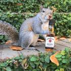 Прикрепленное изображение: sq_jb.jpg