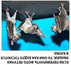 Прикрепленное изображение: Rotation of 1578729717.jpg