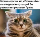 Прикрепленное изображение: 1579419086.jpg