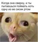 Прикрепленное изображение: image.jpeg