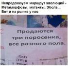 Прикрепленное изображение: 5cYtmxKjvXA.jpg