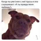 Прикрепленное изображение: photo_2021-01-28_12-32-29.jpg