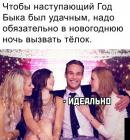 Прикрепленное изображение: Наступающий год Быка.jpg