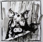 Прикрепленное изображение: 2PoEeRJYUHQ.jpg