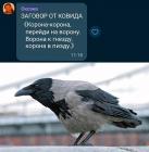 Прикрепленное изображение: Заговор от ковида.jpg