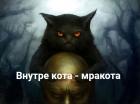 Прикрепленное изображение: Внутре кота мракота.jpg