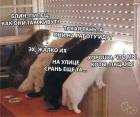 Прикрепленное изображение: Хорошо, что мы коты.jpg