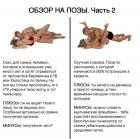 Прикрепленное изображение: 02.jpg