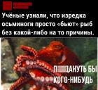 Прикрепленное изображение: Осьминоги бьют рыб.jpg
