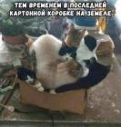 Прикрепленное изображение: В последней картонной коробке.jpg