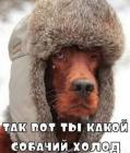 Прикрепленное изображение: 1673348079.jpg