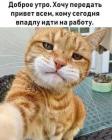 Прикрепленное изображение: 206364132_1168695696932712_2681138611015477977_n.jpg