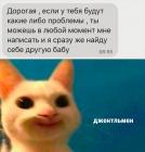 Прикрепленное изображение: Найду себе другую бабу.jpg