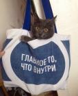 Прикрепленное изображение: Котик внутри.jpg