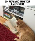 Прикрепленное изображение: 1705049566.jpg