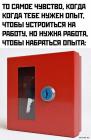 Прикрепленное изображение: 1705137693.jpg