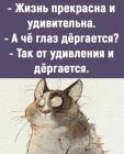 Прикрепленное изображение: 1704649317.jpg