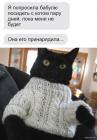 Прикрепленное изображение: 1705567667.jpg