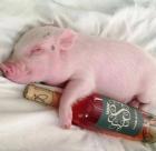 Прикрепленное изображение: Screenshot_20240113-123136~2.jpg