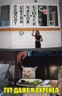Прикрепленное изображение: MLLBGhM6IWI.jpg