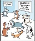 Прикрепленное изображение: Притворись что не кормили.jpg