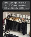 Прикрепленное изображение: Кот обшерстил.jpg