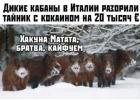 Прикрепленное изображение: 1737276963.jpg