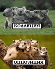 Прикрепленное изображение: FjJywXP34KA.jpg