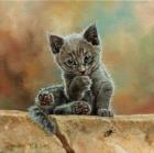 Прикрепленное изображение: 146398297215955634.jpg