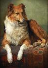 Прикрепленное изображение: portrait-de-chien-par-charles-van-den-eycken-ecole-belge-815153-23640.jpg
