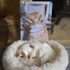 Прикрепленное изображение: IMG_20250128_225022.jpg