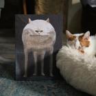 Прикрепленное изображение: IMG_20250128_225308.jpg