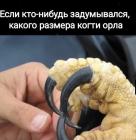 Прикрепленное изображение: 1768683930.jpg