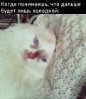 Прикрепленное изображение: Дальше холодней.jpg