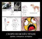 Прикрепленное изображение: b89c18p26d22.jpg