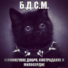 Прикрепленное изображение: image.jpeg