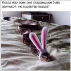 Прикрепленное изображение: image 245 (1).PNG