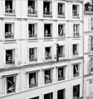 Прикрепленное изображение: Amour.png