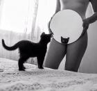 Прикрепленное изображение: IMG_8466.JPG