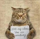 Прикрепленное изображение: KwBuY5E8wiU.jpg