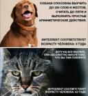 Прикрепленное изображение: IMG_20190218_235644.jpg