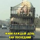 Прикрепленное изображение: IKr6VtVCXzs.jpg